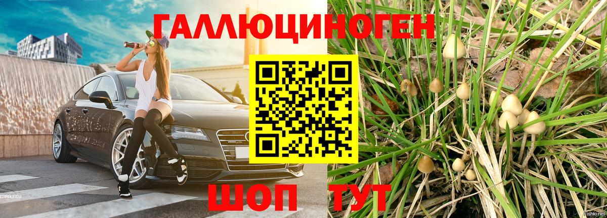 Псилоцибиновые грибы прущие грибы Луга