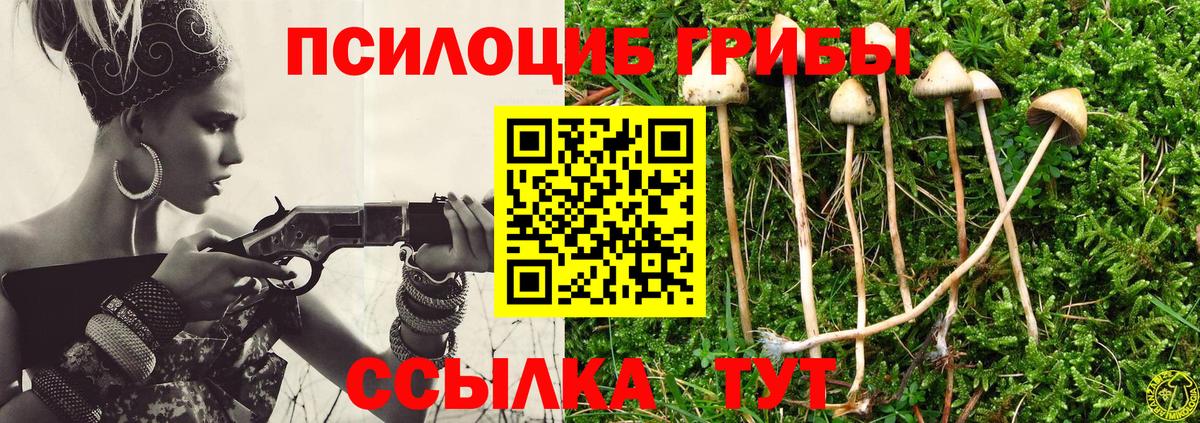 купить наркотик  Галлюциногенные грибы ЛСД  Вход с VPN  Луга 